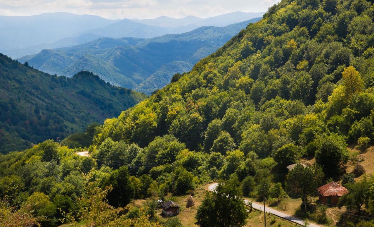 Семеен Хотел Вит Teteven Exteriér fotografie